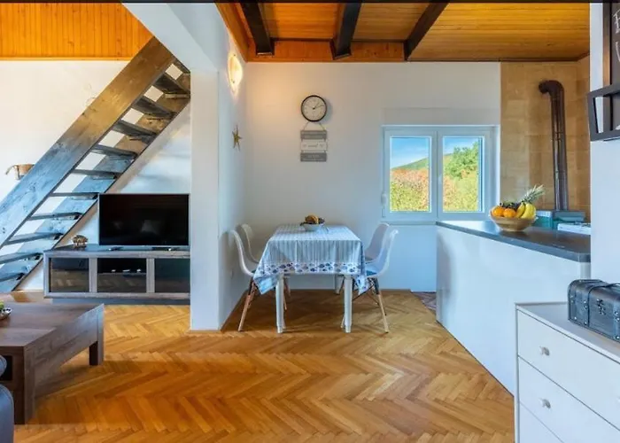 公寓 Belleview 茨里克韦尼察